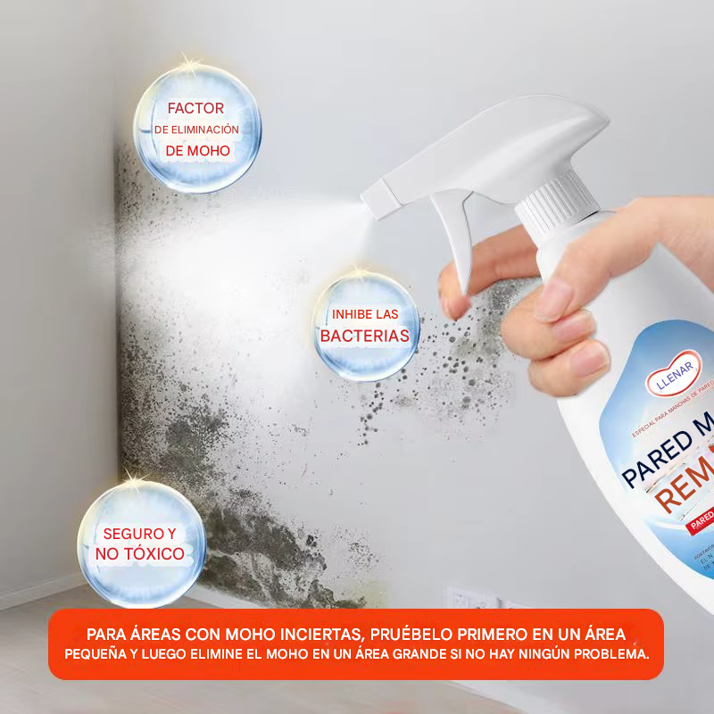 🧼 QUITA MOHO – WALL MOLD REMOVER