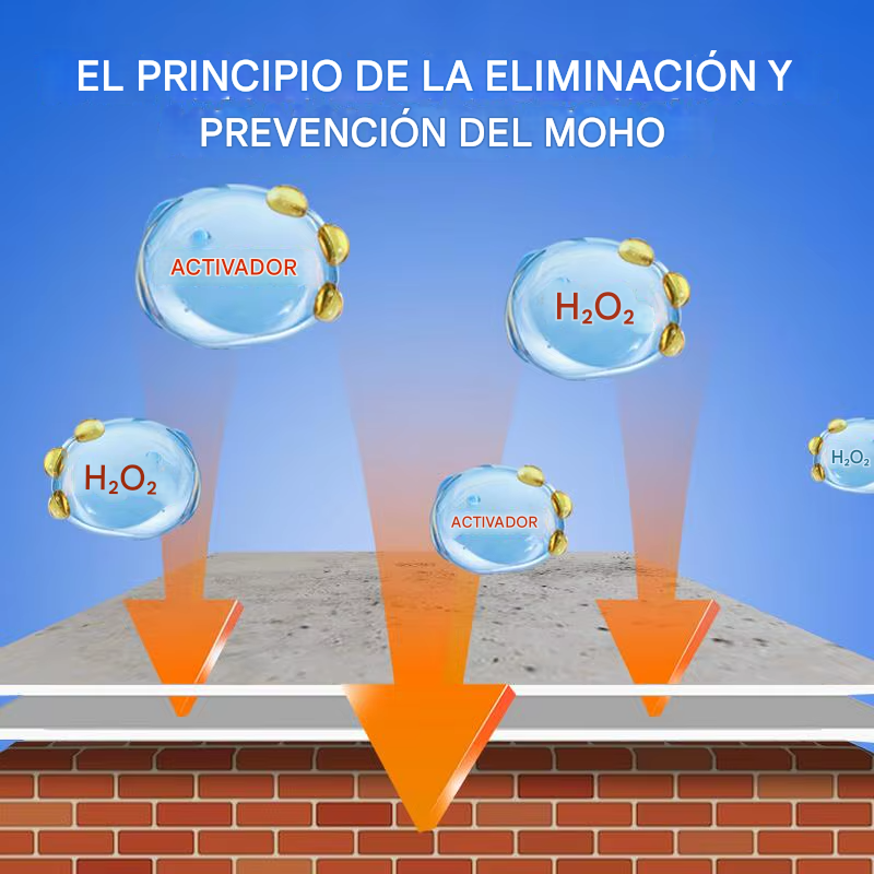 🧼 QUITA MOHO – WALL MOLD REMOVER