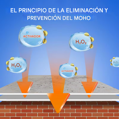 🧼 QUITA MOHO – WALL MOLD REMOVER