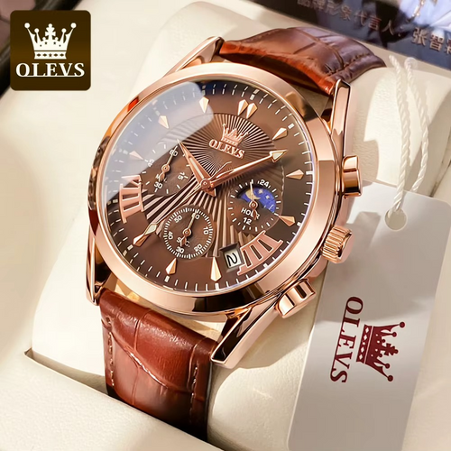 ⌚️OLEVS 2876 for Men – TODO MARRON TIKTOK