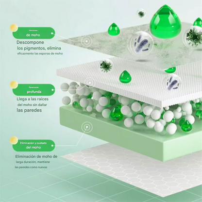 🧼 QUITA MOHO – WALL MOLD REMOVER