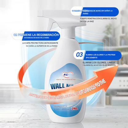🧼 QUITA MOHO – WALL MOLD REMOVER