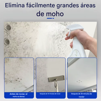 🧼 QUITA MOHO – WALL MOLD REMOVER